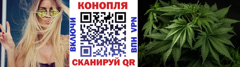 Все наркотики Магас omg ссылка  СК  БУТИРАТ  COCAIN  ГАШ  Канабис 