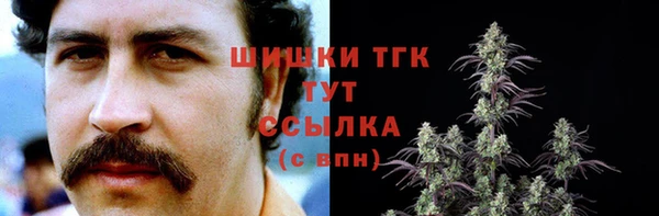 ГАЛЛЮЦИНОГЕННЫЕ ГРИБЫ Балахна