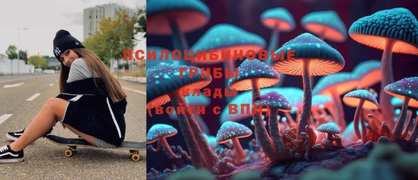 ГАЛЛЮЦИНОГЕННЫЕ ГРИБЫ Балахна