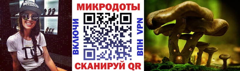 Псилоцибиновые грибы прущие грибы  хочу   Магас 