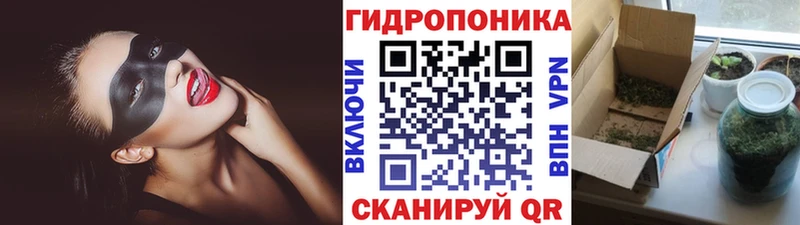 наркошоп Магас блэк спрут рабочий сайт Бошки Шишки VHQ